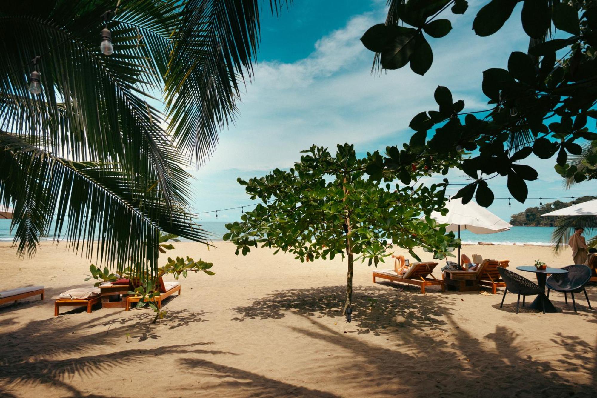 Awa Beach Hotel Puerto Viejo de Talamanca Luaran gambar