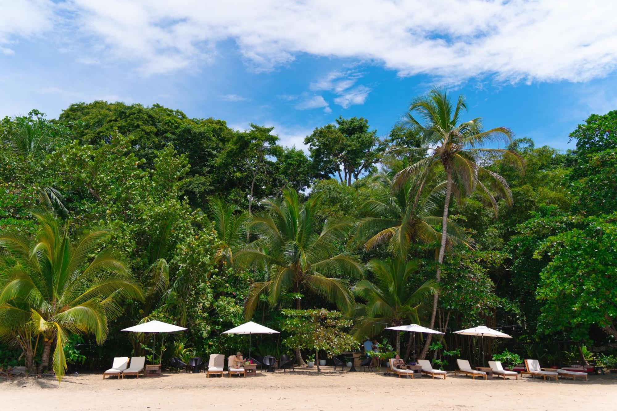 Awa Beach Hotel Puerto Viejo de Talamanca Luaran gambar
